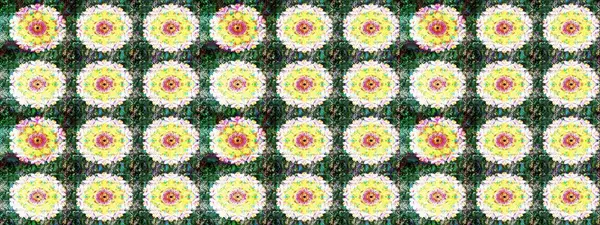 Taslak dekoratif arka plan, çiçek mandala. Çiçek. Raster illüstrasyonu. Yeşil renklerde.