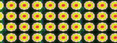 Eskiz arkaplan modeli. Suluboya, elle çizilmiş. Sarı yapraklı yabani çiçekler. Raster illüstrasyonu.