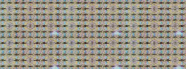 Raster illüstrasyonu. Çiçeklerle suluboya desenli çiçek deseni. Gri ve nötr renklerde Asyalı tekstil.