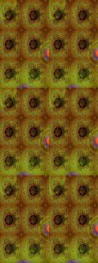 Raster Çiçek İllüstrasyonu güzel tekstil. Etnik çiçeklerle renklendirilmiş zarif eskiz deseni.