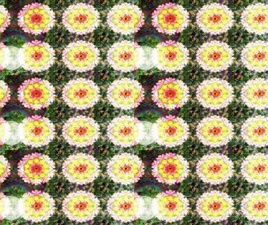 Raster illüstrasyonu. Çiçek deseni. Renkli Bahar Teması eskiz kalıbı. Chichi 'nin kumaş kalıbını çiz. Düz Çiçek Elementleri Tasarımı.