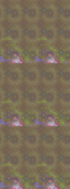 Tropik çiçek desenleri. Renkli çiçekler. Raster illüstrasyonu.