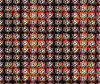 Çiçekli karalama şeklinde Raster çiçek deseni. Siyah renkli çiçekler. Nazik, sevimli çiçek arkaplanı..