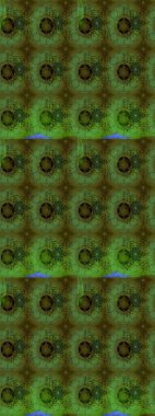 Dekorasyon ve tasarım için güzel bir desen. Ton halinde. Suluboya desenli çiçek deseni. Çiçeğin suluboya çizimlerinin mükemmel deseni. Moda yazdırma.