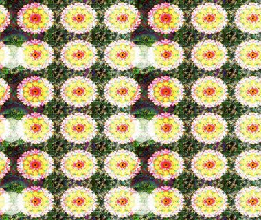 Raster illüstrasyonu. Çiçek deseni. Renkli Bahar Teması eskiz kalıbı. Chichi 'nin kumaş kalıbını çiz. Düz Çiçek Elementleri Tasarımı.