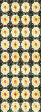 Yatak çarşafları, ceket, paket tasarımı, kumaş ve moda kavramları için tekstil baskısı. Çiçekleri, deniz kabukları, mandalaları ve suluboya efektleriyle donanma geçmişi. Çizim kalıbı etnik tasarım.