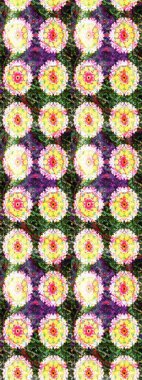 Eskiz modeli etnik tasarım. Çiçekleri, deniz kabukları, mandalaları ve suluboya efektleriyle donanma geçmişi. Yatak çarşafları, ceket, paket tasarımı, kumaş ve moda kavramları için tekstil baskısı.