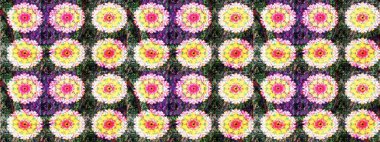 Elle çizilmiş sonbahar çiçeği deseni. Renkli nötr çizim kalıbı. Doodle tarzı. Tekstil ve kapak tasarımı için mükemmel. Tarafsız renklerde çiçekler.