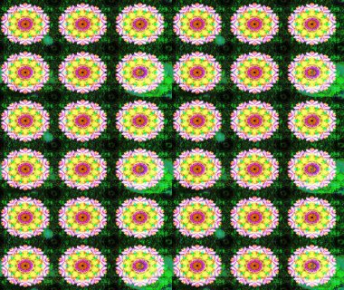 Soyut etnik raster çizim kalıbı. Kabile sanatı boho baskısı, klasik çiçek arkaplanı. Arkaplan dokusu, duvar kağıdı, yeşil renkli çiçek teması.