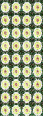 Organik elementler. Suluboya etkisi. Raster deseni. Botanik çizim deseni.