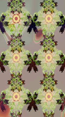 Gri yapraklı yabani çiçekler. Eskiz arkaplan modeli. Suluboya, elle çizilmiş. Raster illüstrasyonu.