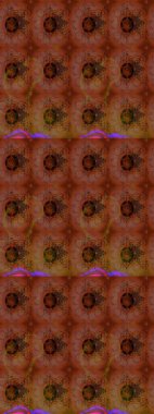 Kumaş desenli papatya çiçeği detayı. Kahverengi ve kırmızı renkte çiçekler.