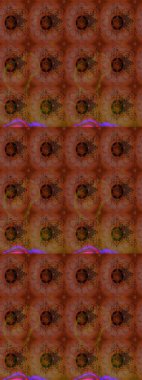 Kumaş desenli papatya çiçeği detayı. Kahverengi ve kırmızı renkte çiçekler.