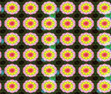 Raster illüstrasyonu. Tomurcukları papatya çiçekleri olan sevimli bir çiçek deseni. Eski usul. Kumaş, tekstil, duvar kağıdı baskısı için. Eskiz geçmişi. Miles Fleur, dandik süs.