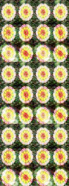 Egzotik çiçekler, botanik, yeşil renklerdeki parlak klasik doğa. Klasik tropikal doğal elementlerin suluboya seti. Raster illüstrasyonu.