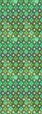 Çiçek kompozisyonu. Çiçek arkaplan. - yeşil ve nötr çiçekler. Çiçek kolajı. Küçük çiçekte güzel bir desen var. Doğa. Raster deseni.