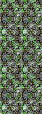 Moda baskıları için zarif bir şablon. Küçük renkli çiçekler. Gri çiçekli bahar çiçekleri. Küçük çiçekte güzel bir desen. Motley illüstrasyonu.