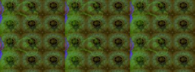 Çiçekler yeşile ve griye. Eskiz arkaplan modeli. Suluboya, elle çizilmiş. Raster stoku.