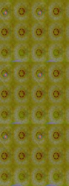 Raster suluboya çiçek deseni, narin çiçekler, kahverengi çiçekler, tebrik kartı şablonu. Raster Güzel kumaş deseni.