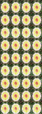 Yatak çarşafları, ceket, paket tasarımı, kumaş ve moda kavramları için tekstil baskısı. Çiçekleri, deniz kabukları, mandalaları ve suluboya efektleriyle donanma geçmişi. Çizim kalıbı etnik tasarım.