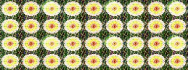 Renkli Bahar Teması eskiz kalıbı. Düz Çiçek Elementleri Tasarımı. Raster..