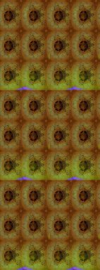 Renkli Yaz Temalı eskiz kalıbı. Yazdır. Güzel kumaş deseni. Güzel eskiz şekli. Raster çiçekli arka plan. Düz Çiçek Elementleri Tasarımı.