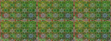 Raster illüstrasyonu. Yeşil ve kahverengi renkli yeşil ve kahverengi papatya deseni. Yeşil ve kahverengi renklerde.