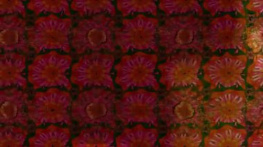 Renkli unsurlarla hareketli arka plan görüntüleri. Çiçekler. Eski model. Bayrak tarzı. Video kaydı. Şablon. Döngü. Kusursuz.. 