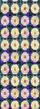 Raster çiçek desenli çiçek deseni, yapraklar, dekoratif elementler, sıçrama, lekeler, el çizimi kontur çizgileri ve Doodle çizim stili, grafik raster çizim çizimi.