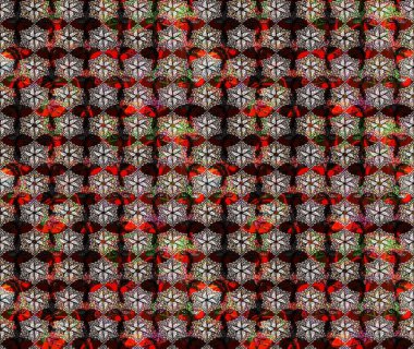 Raster suluboya çiçek deseni, narin çiçekler, kahverengi çiçekler, tebrik kartı şablonu. Güzel kumaş deseni.