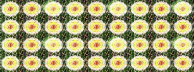 Renkli Bahar Teması eskiz kalıbı. Düz Çiçek Elementleri Tasarımı. Raster..