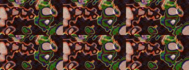 Klasik çiçekler. El çizimi, soyut ve süslü elementler. Yaz çiçekleri teması. Kahverengi ve yeşil renkler. Suluboya resim taklit Raster illüstrasyonu.