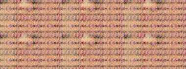 Etnik Mandala havlusu. Tebrik kartı geçmişi, boyama kitabı, arkaplan ve tekstil için kullanılabilir. Taslak süsleme izi. Sınır Kızılderili çiçekli paisley patten. Raster Henna tarzı.