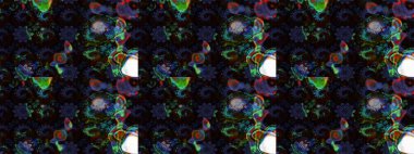 Siyah ve gri renkli çiçekler. Yumuşak, bahar çiçekli arka plan. Raster çiçek desenli ve çiçekli..