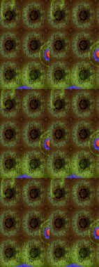 Hediye ambalaj kağıdı, tebrik kartları, posterler ve pankart tasarımı. Raster düz çiçek çizim deseni. Renkli çiçekler.