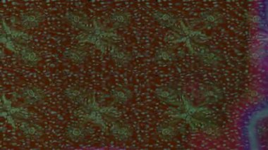 Renkli unsurlarla hareketli arka plan görüntüleri. Çiçekler. Eski model. Bayrak tarzı. Video kaydı. Şablon. Döngü. Kusursuz.. 