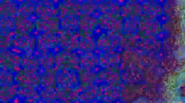 Renkli unsurlarla hareketli arka plan görüntüleri. Çiçekler. Eski model. Bayrak tarzı. Video kaydı. Şablon. Döngü. Kusursuz.. 