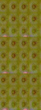 Renklerle. Suluboya çiçek buketi. Çiçekli tebrik kartı. Raster illüstrasyonu. Doğum günü kartı ya da düğün davetiyesi. Çiçek arka planı.