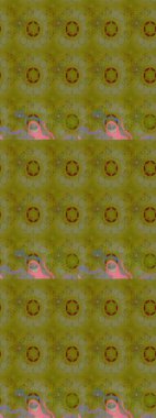 Tekstil, tebrik kartı, boyama kitabı, telefon kılıfı baskısı için kullanılabilir. Etnik Mandala süsü. Raster Henna dövme stili. Hint çiçekli desenli şal desenli..