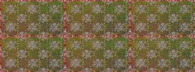 Etnik Mandala süsü. Kızılderili desenli desenli desenli şal deseni. Raster Henna dövme stili. Tekstil, tebrik kartı, boyama kitabı, telefon kılıfı baskısı için kullanılabilir.