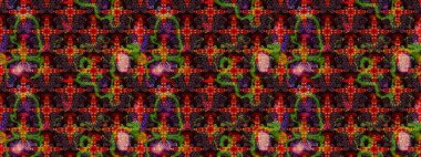 Raster geleneksel halk çiçekleri kahverengi ve siyah renkli tekstil tasarımları için. Üzerinde gelincikler ve vadi zambakları olan renkli çiçek desenli nakış..