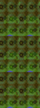 Raster illüstrasyonu. 3D çiçekler, eskiz. Renklerde.