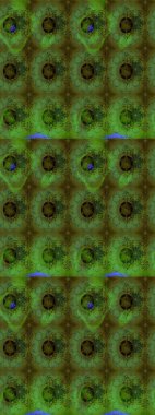 Raster illüstrasyonu. Yeşil renklerde. Raster illüstrasyonundaki çiçek desenli çizim. Güzel kumaş deseni.