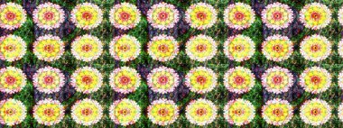 Çizim çiçek deseni duvar kâğıdı olarak kullanılabilir. Yeşil renkli çiçekler. Raster illüstrasyonu.