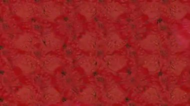 Renkli unsurlarla hareketli arka plan görüntüleri. Çiçekler. Eski model. Bayrak tarzı. Video kaydı. Şablon. Döngü. Kusursuz.. 