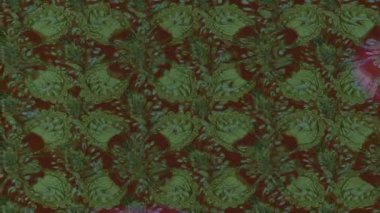 Renkli unsurlarla hareketli arka plan görüntüleri. Çiçekler. Eski model. Bayrak tarzı. Video kaydı. Şablon. Döngü. Kusursuz.. 