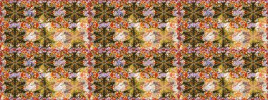 Raster klasik barok çiçeksiz altın desenli. Kahverengi ve nötr renklerdeki altın desenli altın elementler. Süslü dekorasyon. Lüks, kraliyet ve Viktorya dönemi konsepti.