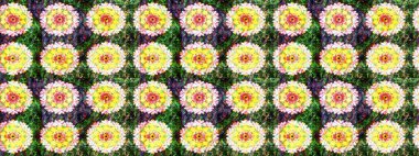 Çizim çiçek deseni duvar kâğıdı olarak kullanılabilir. Yeşil renkli çiçekler. Raster illüstrasyonu.