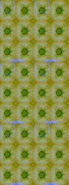 Düz Çiçek Elementleri Tasarımı. Renkli Bahar Teması eskiz kalıbı. Çiçekli çizim şekli. Yeşil renkte çiçekler.