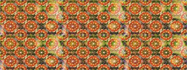 Süslü dekorasyon. Lüks, kraliyet ve Viktorya dönemi konsepti. Raster klasik barok çiçeksiz altın desenli. Kahverengi ve turuncu renklerde altın desenli altın elementler.